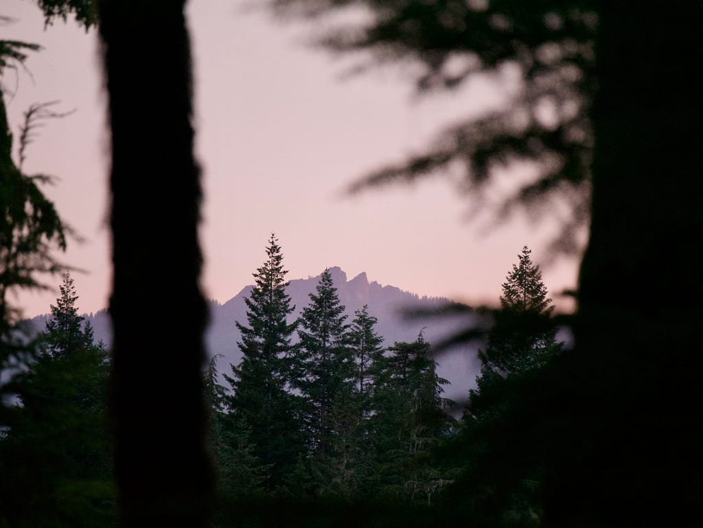 A view of a distant mountain through the trees on the Wonderland Trail in Mount Rainier National Park