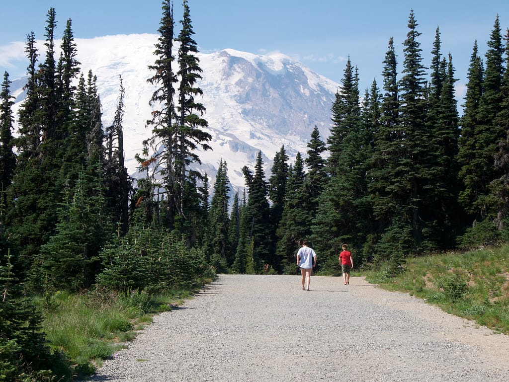 My kids walking a path back towards Sunrise Visitor Center with Mount Rainier in the backdrop