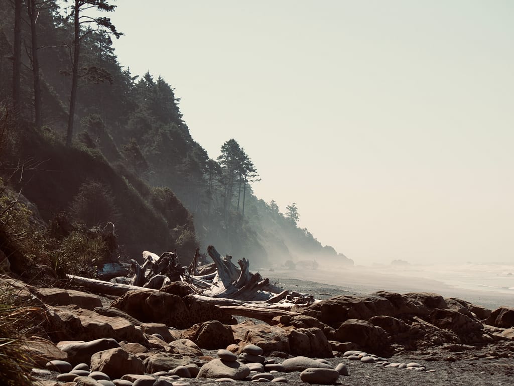Sea spray and fog meet at the bluff on the shore of Kalaloch Beach 3