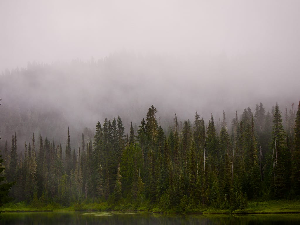 Fog and clouds over trees at Reflection Lake