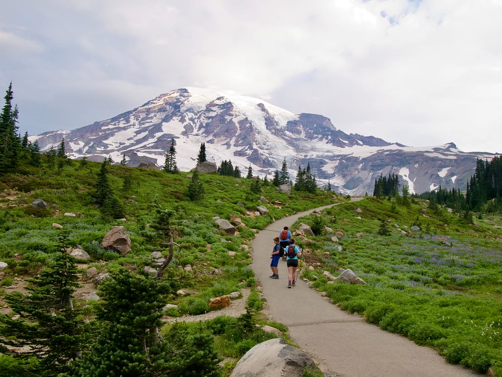 View of my family on the meadow trail hiking up Mount Rainier