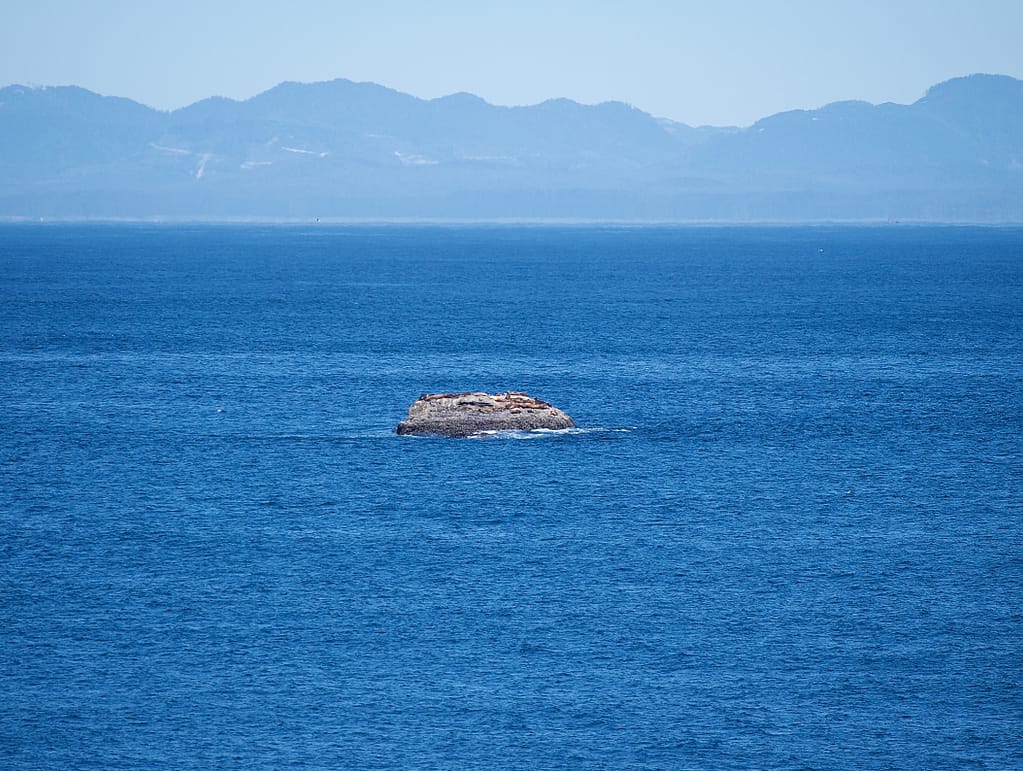 Seals on a distant rock of Cape Flattery with Vancouver Island in the distance