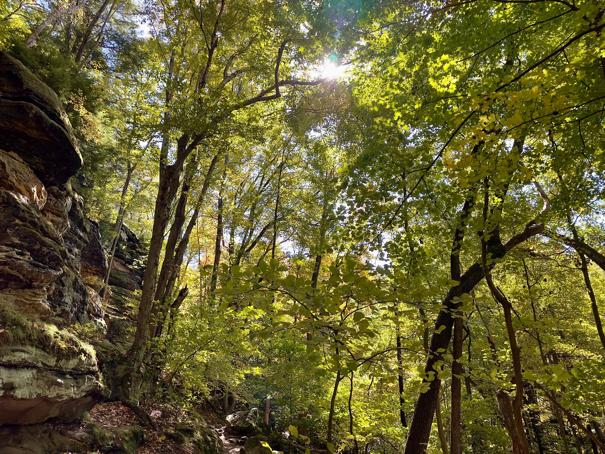 Sun peaks through the trees of the Ledges trail in Cuyahoga Valley National Park